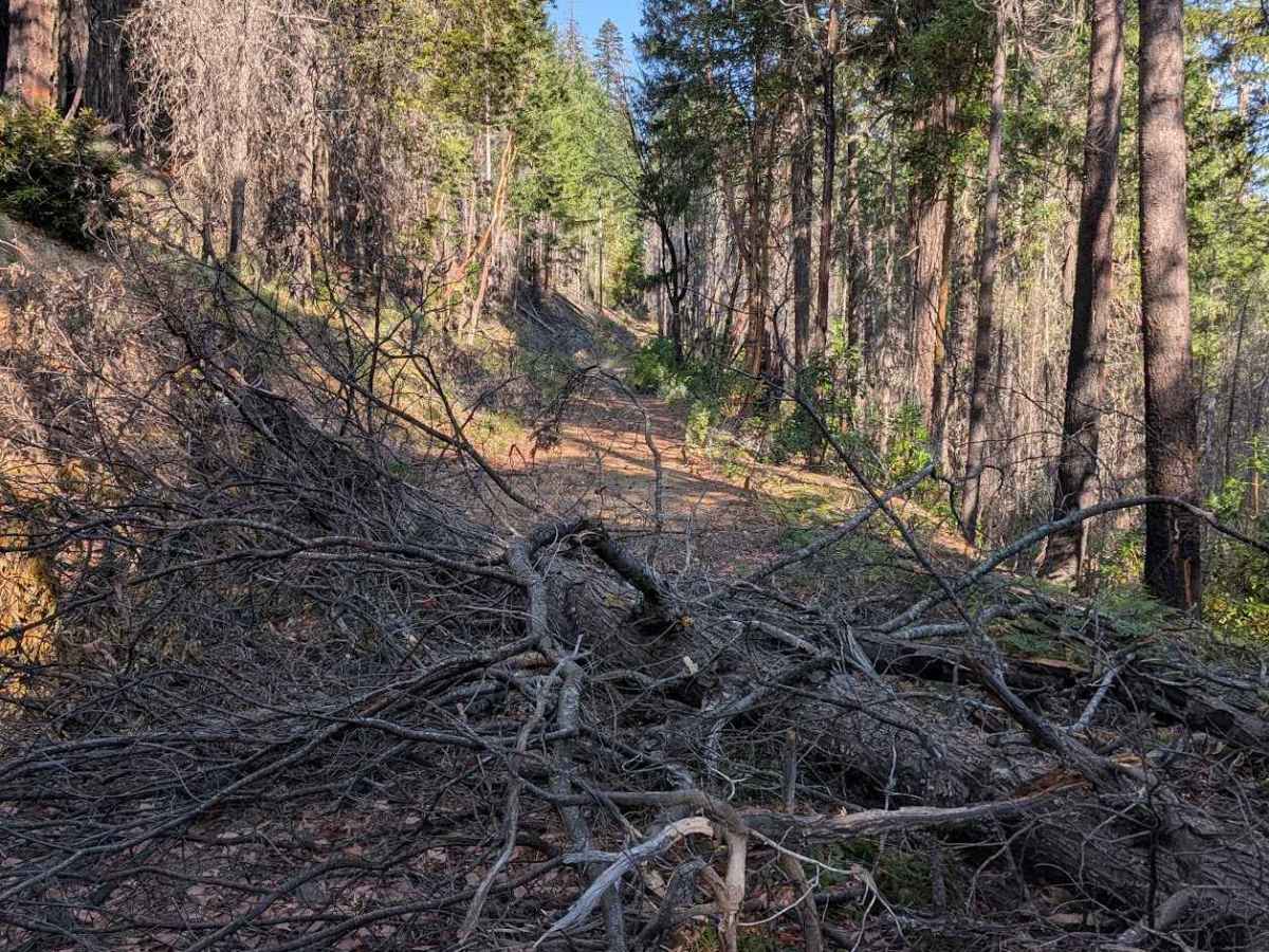 Creek Road - FS 29N57  photo 6