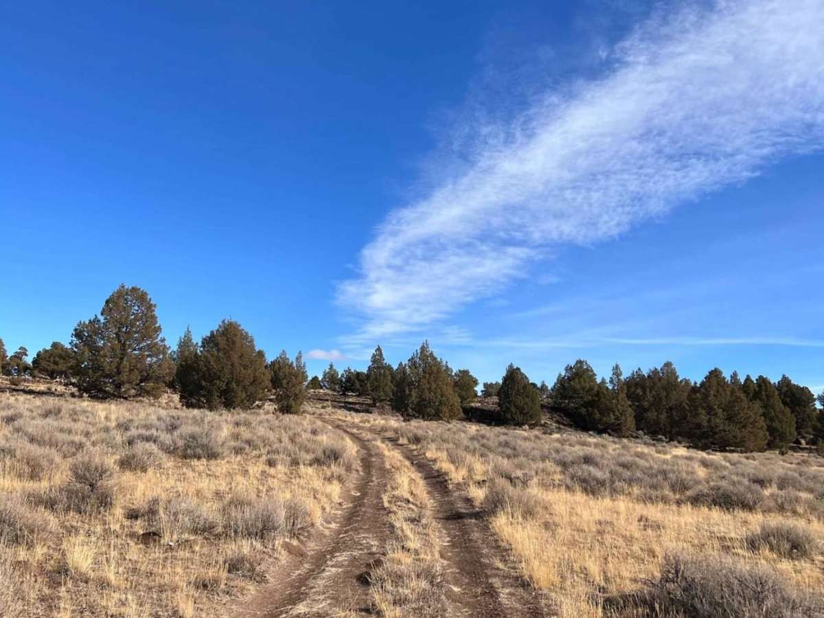 Mustang Tank Trail photo 5