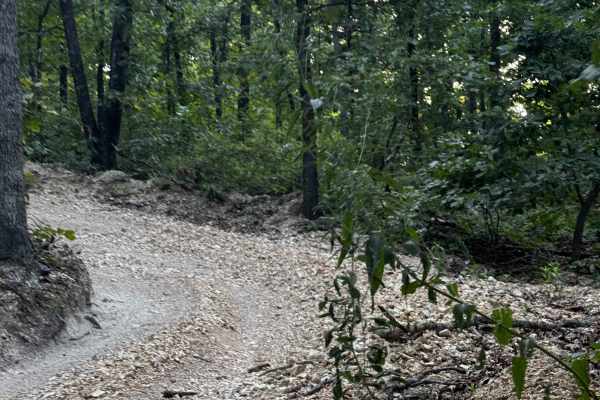 Short Track Hill Climb