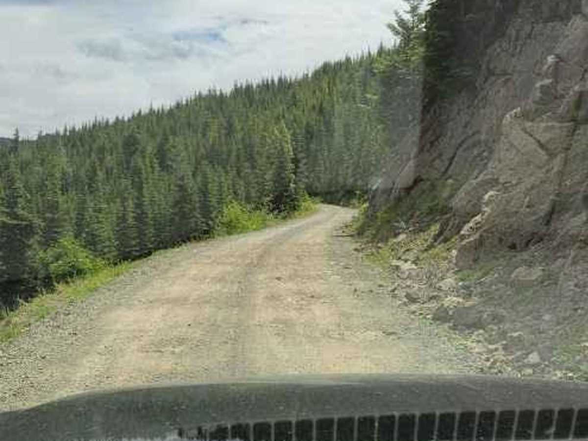 Cabin Creek Road (NF-41) photo 4