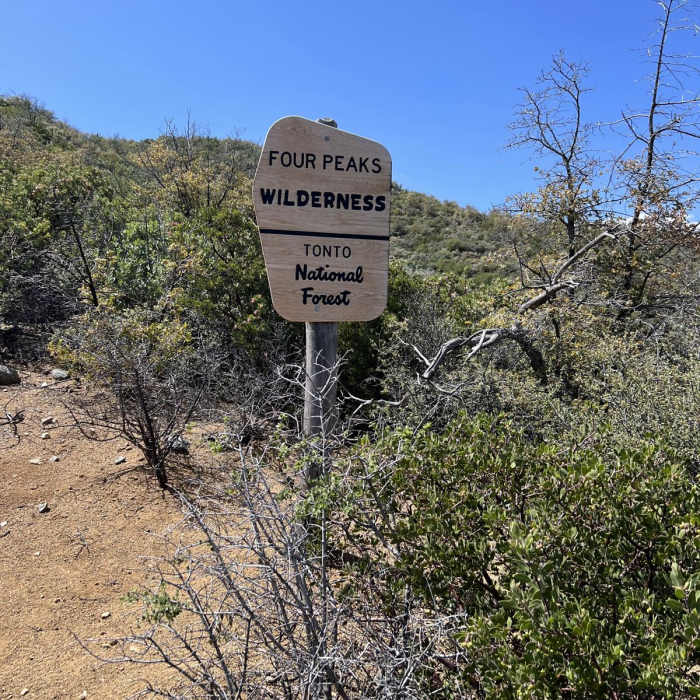 Near Four Peaks Trail #130