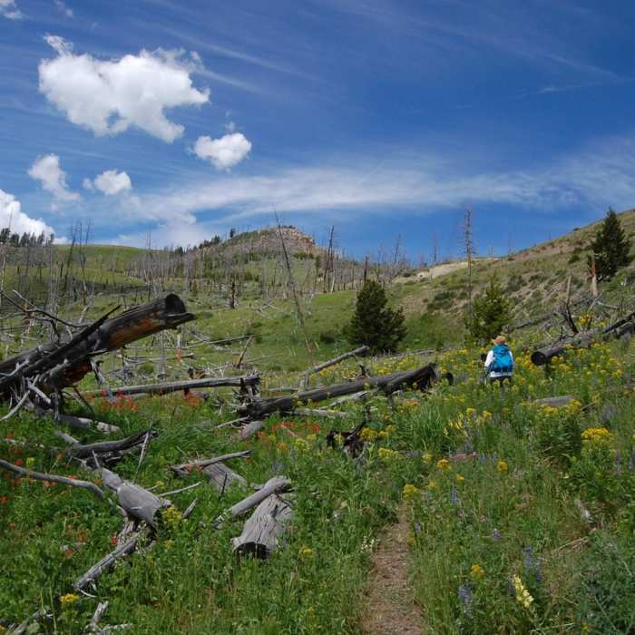 Near Sepulcher Mountain