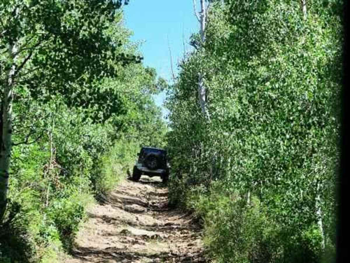 Roubideau Jeep Trail photo 6