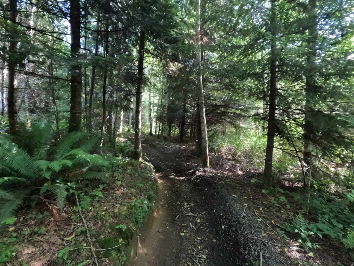 Little Loop photo 2