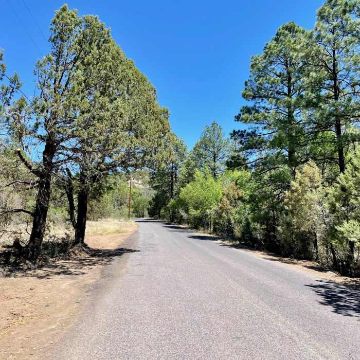 Near Continental Divide Trail: Walnut Creek Alternate