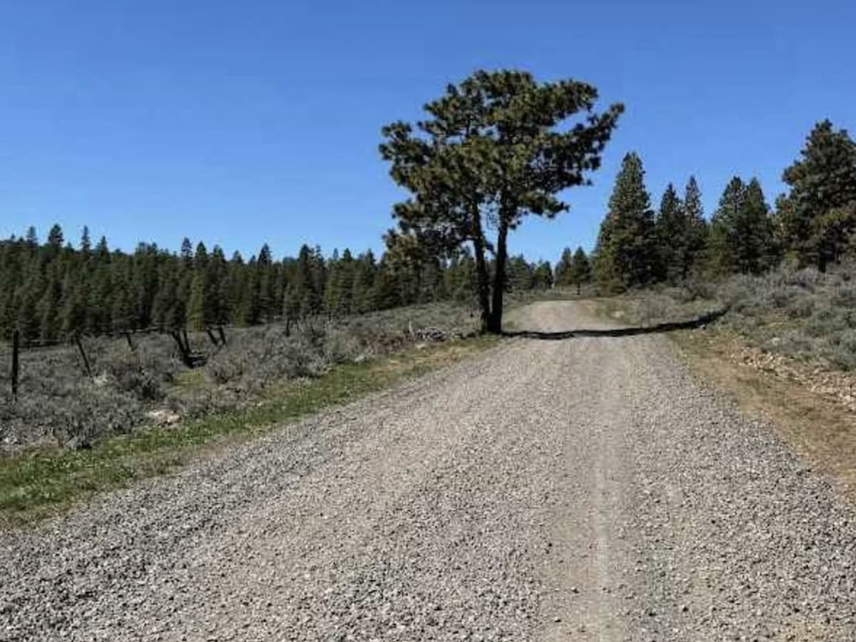 Tyee Road photo 5