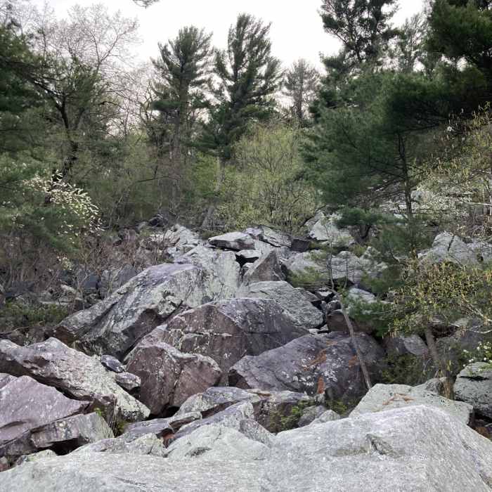 Near Tumbled Rocks Trail Near Tumbled Rocks Trail