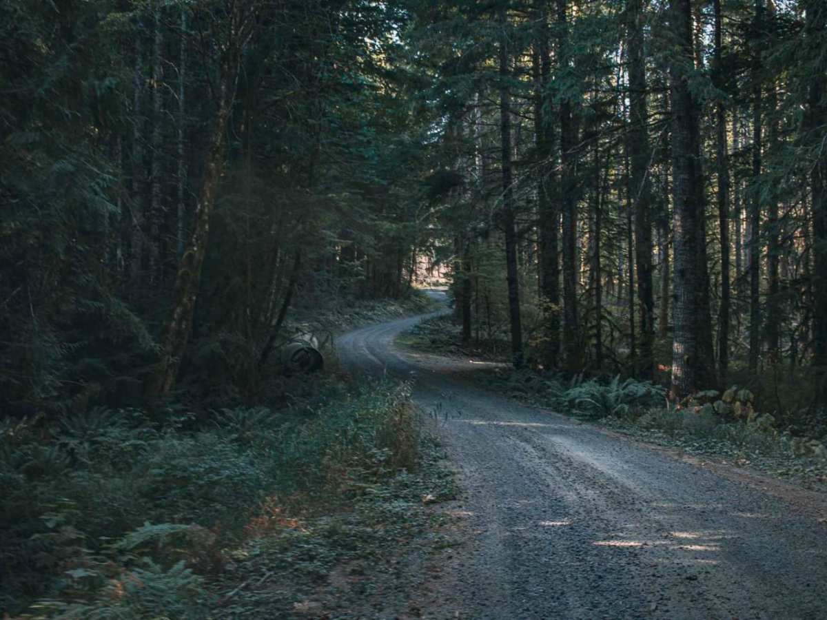 Schooley Creek photo 5