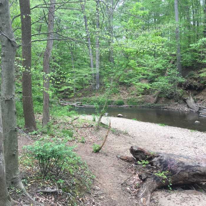 The view from the trail. Near Triple Entente: Edwin Leid Trail to PennDel Trail to Vaughn's Trail