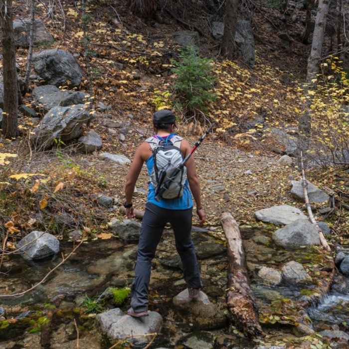 Near San Gorgonio via Momyer Creek Trail + Vivian Creek Trail
