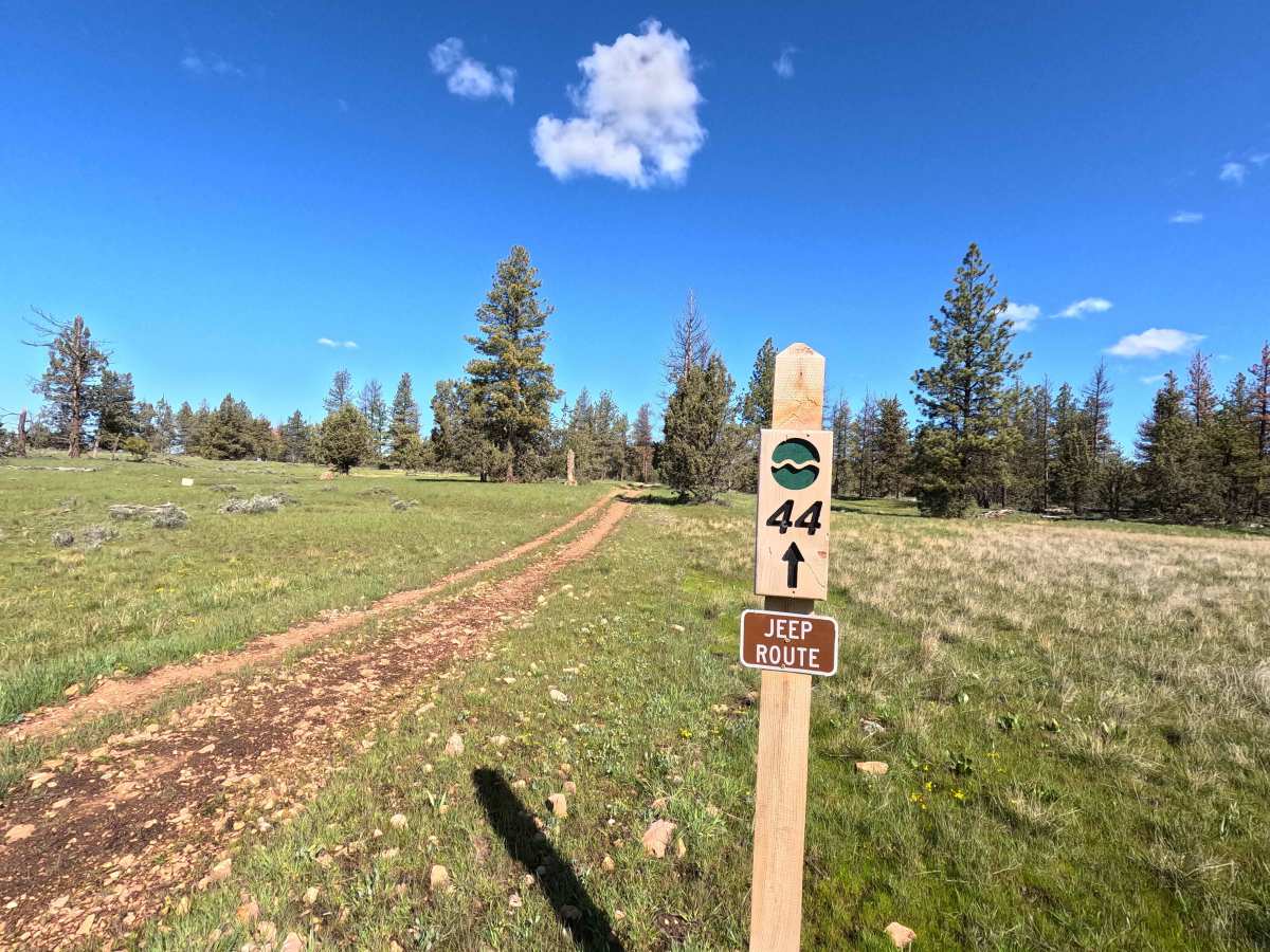 Trail 44 trail photo