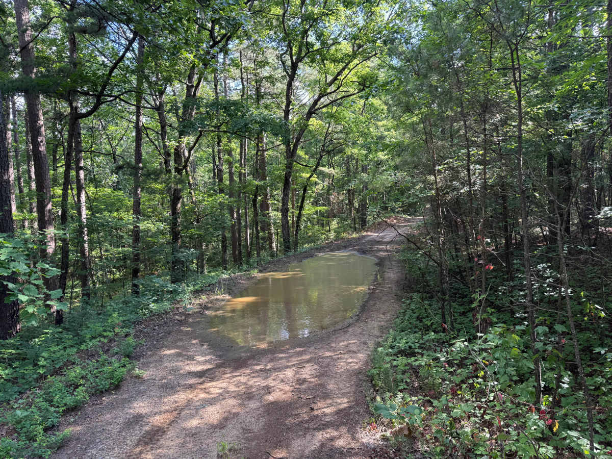 Minnow Creek photo 2