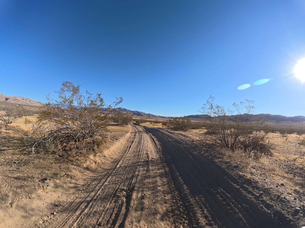 BLM SV2633 photo 2