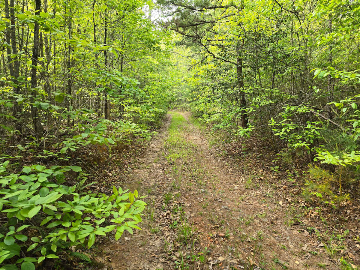 Doc Stiles Road photo 5
