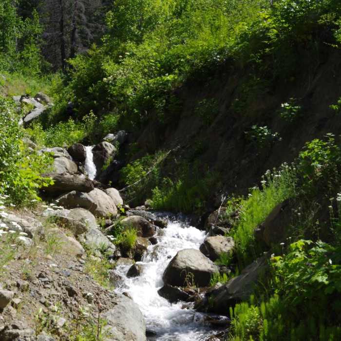 Near Icicle Ridge via Fourth of July Creek Trail