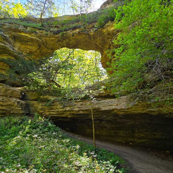 Near Natural Bridge State Park Loop