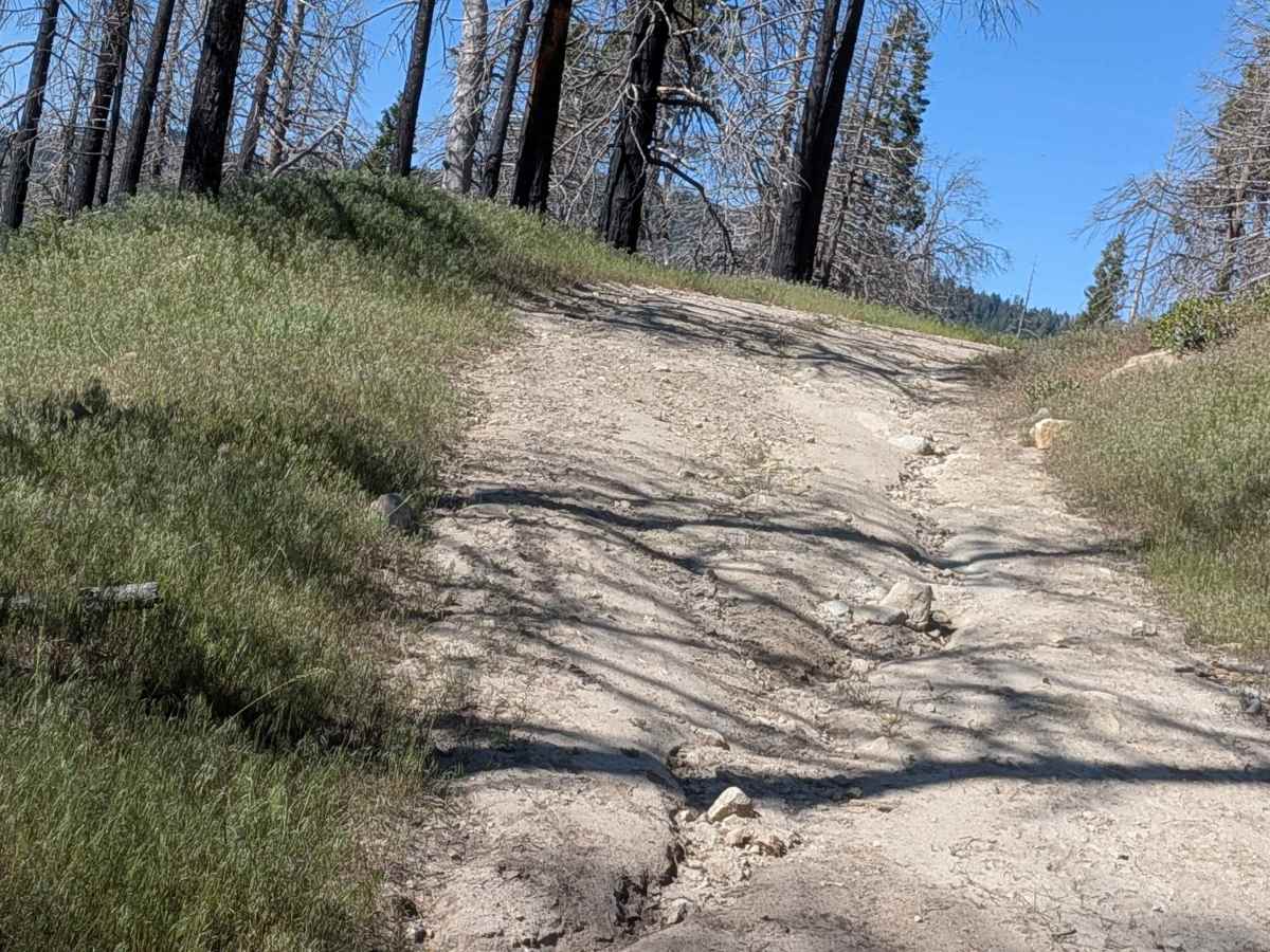 Black Mountain - FS 32E360 photo 6