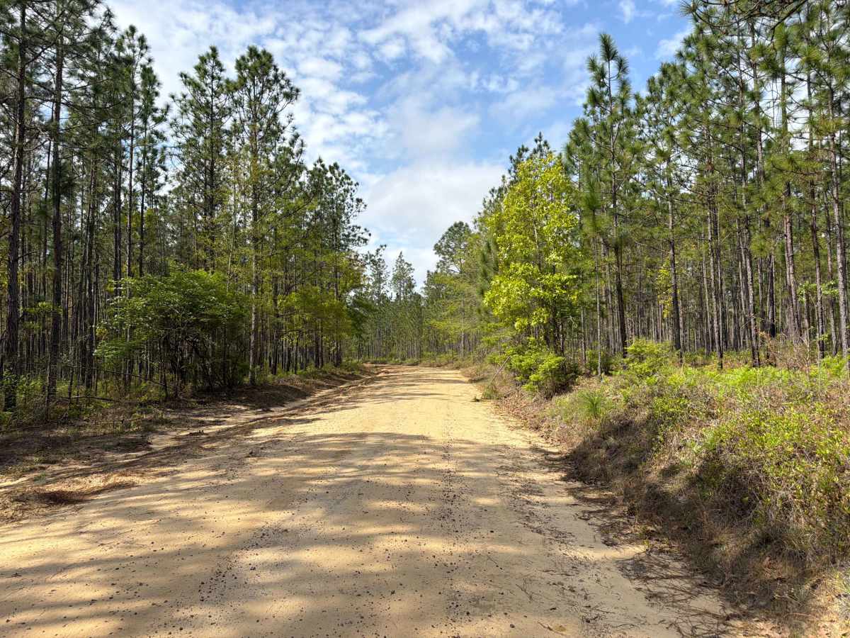 Carpenter Road photo 5