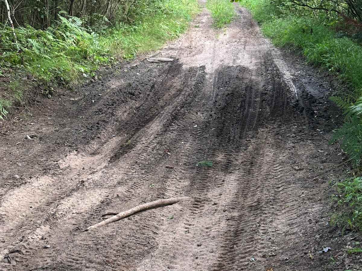 McKinley Road photo 5
