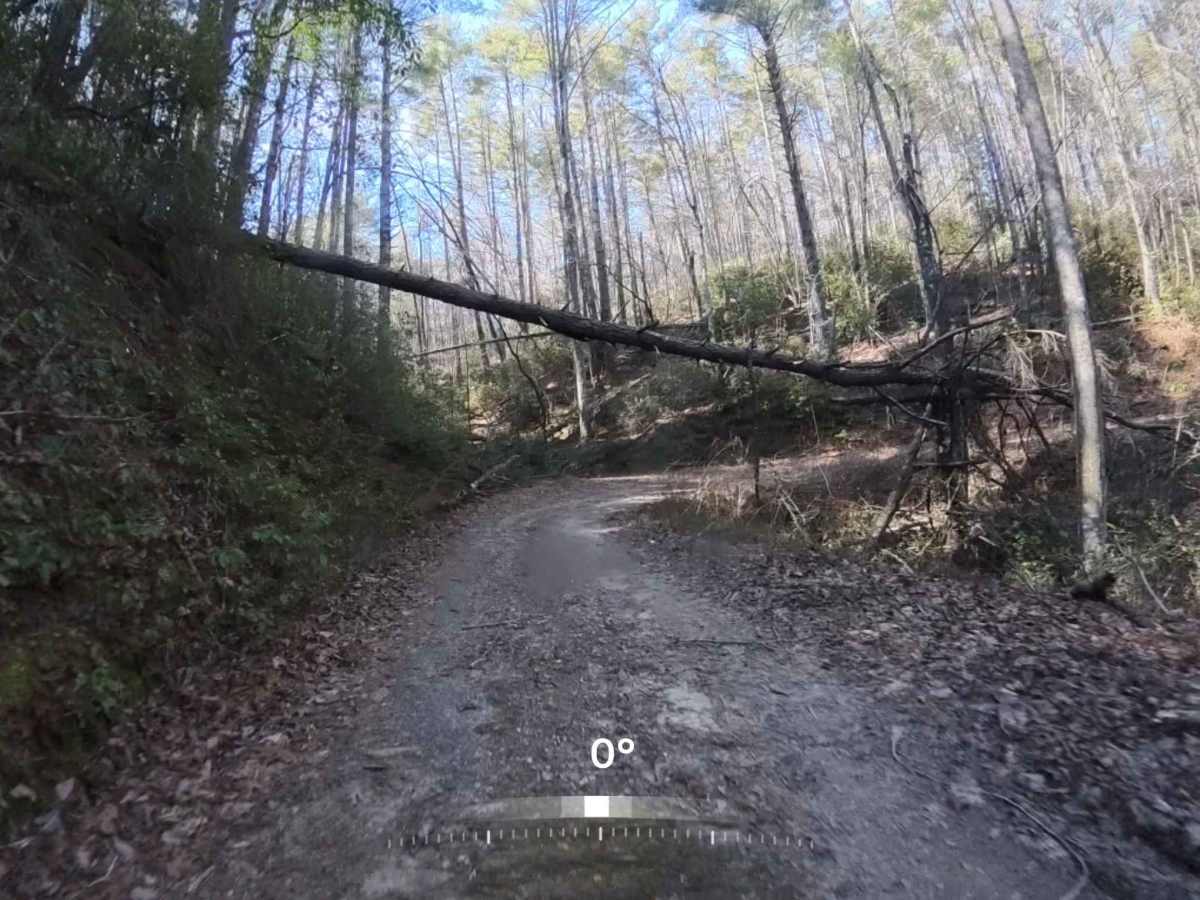Raper Creek Road - FS 376 photo 5