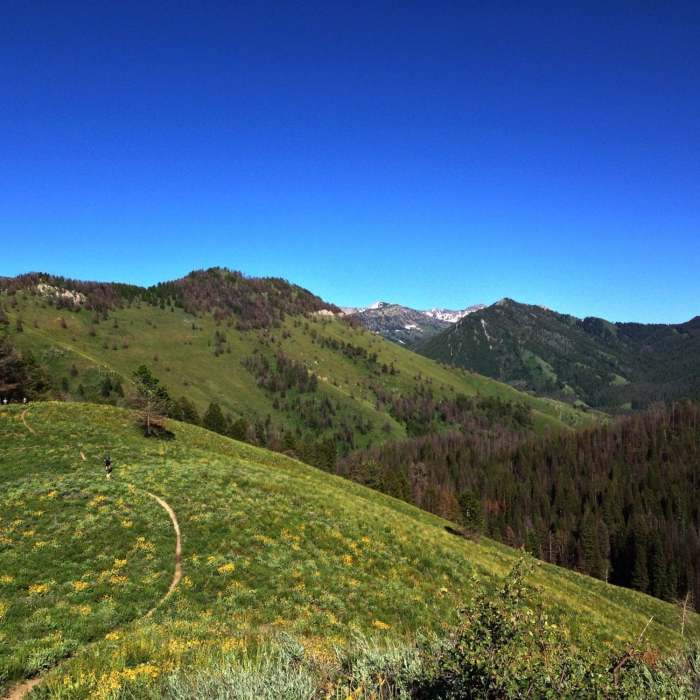 Near West Game Creek Trail #4026