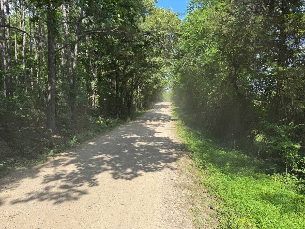 Rushing Road trail photo
