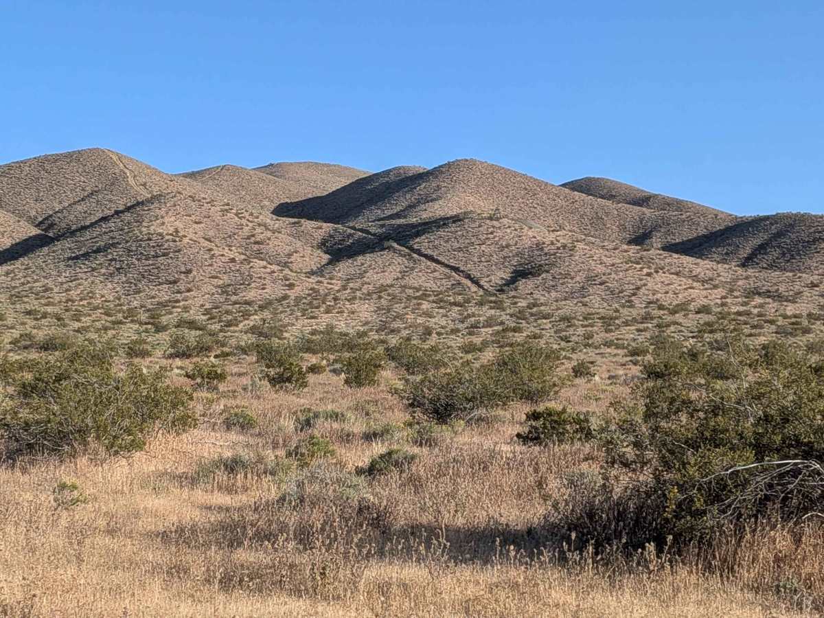 Bickel Camp - BLM EP30 photo 3