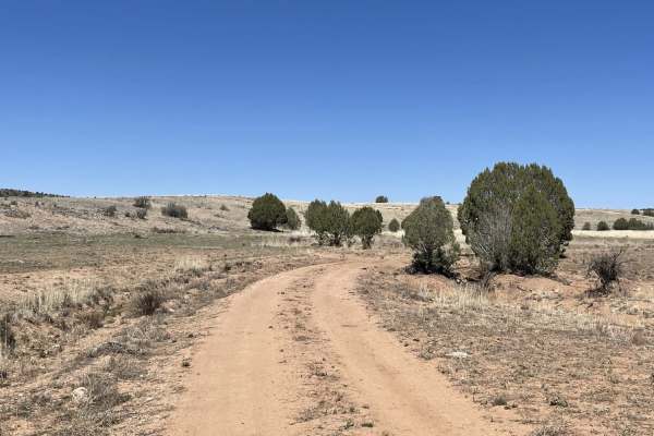 Just Grazing Trail