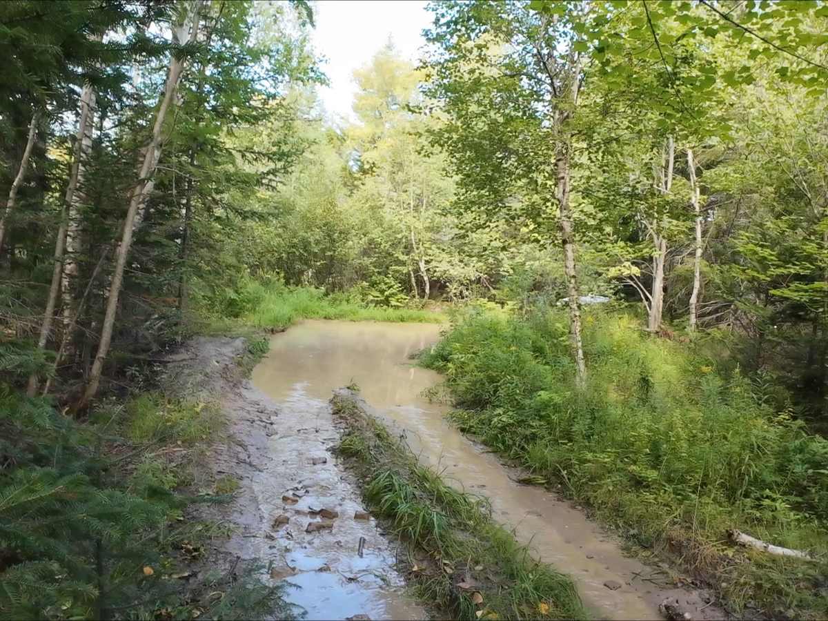 Beaumont North trail photo