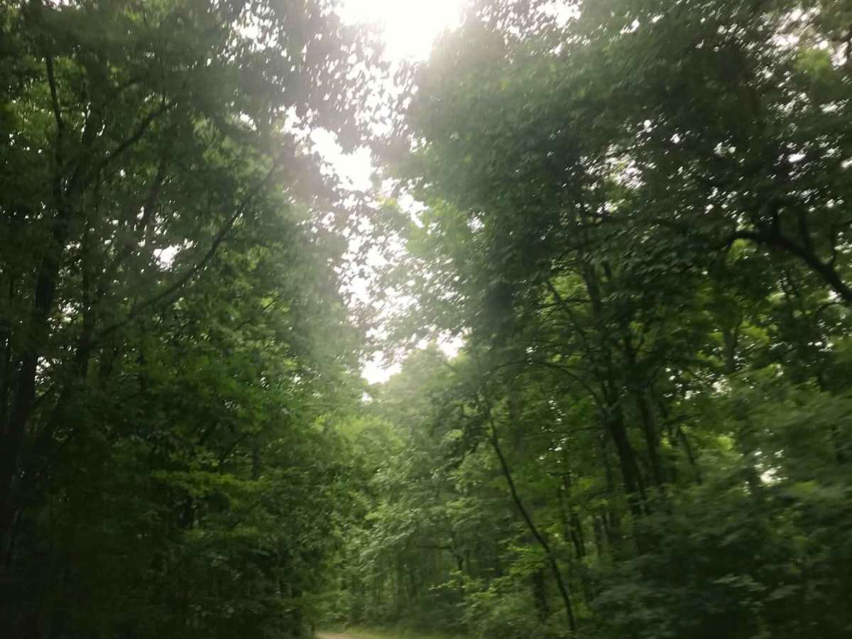 Township Road 152 photo 2