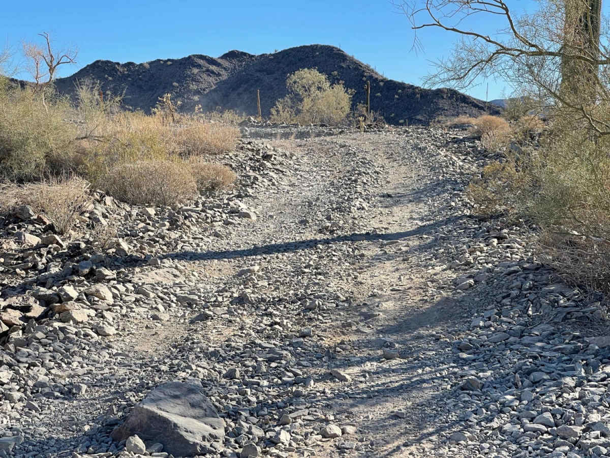 Western Edge Camp Connector Trail photo 3