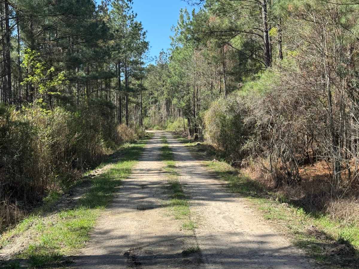 Belle Vista Road photo 6