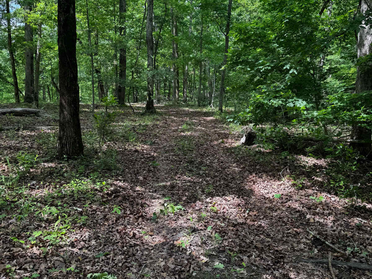 Inner Trail 1 trail photo