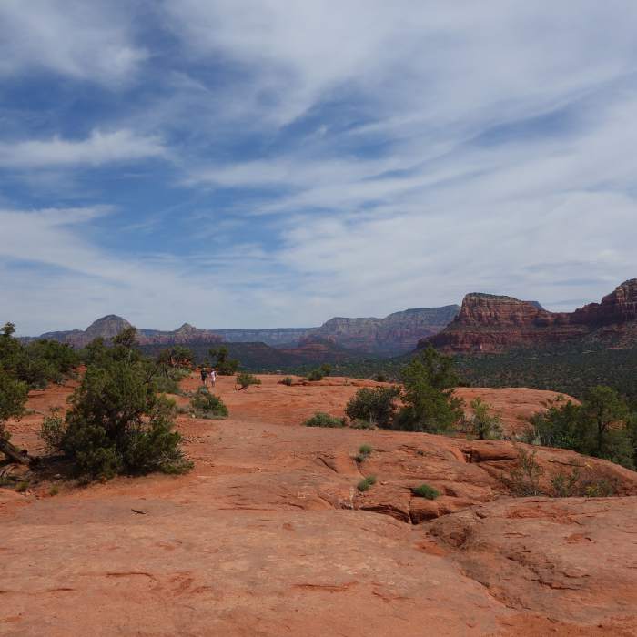 Near Coconino Trail