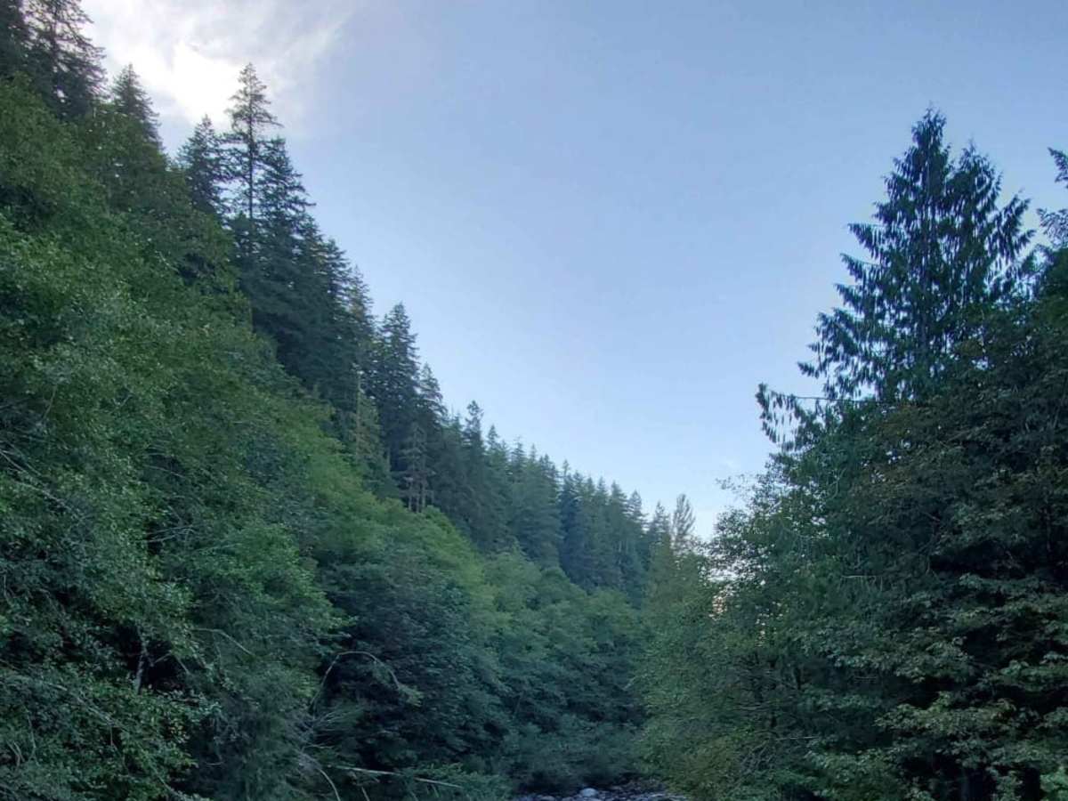 River Road photo 2
