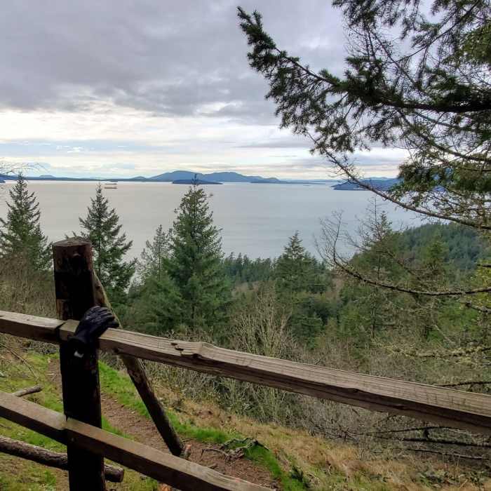 Near Ocean Viewpoint Spur