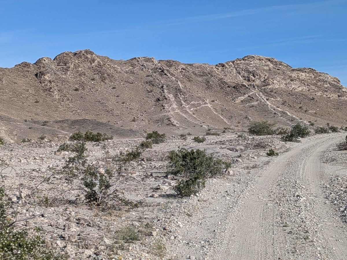 BLM 668 photo 4