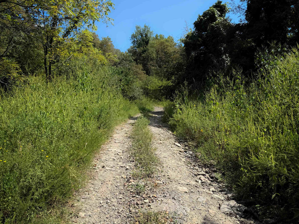 Laco Pit Trail  photo 6