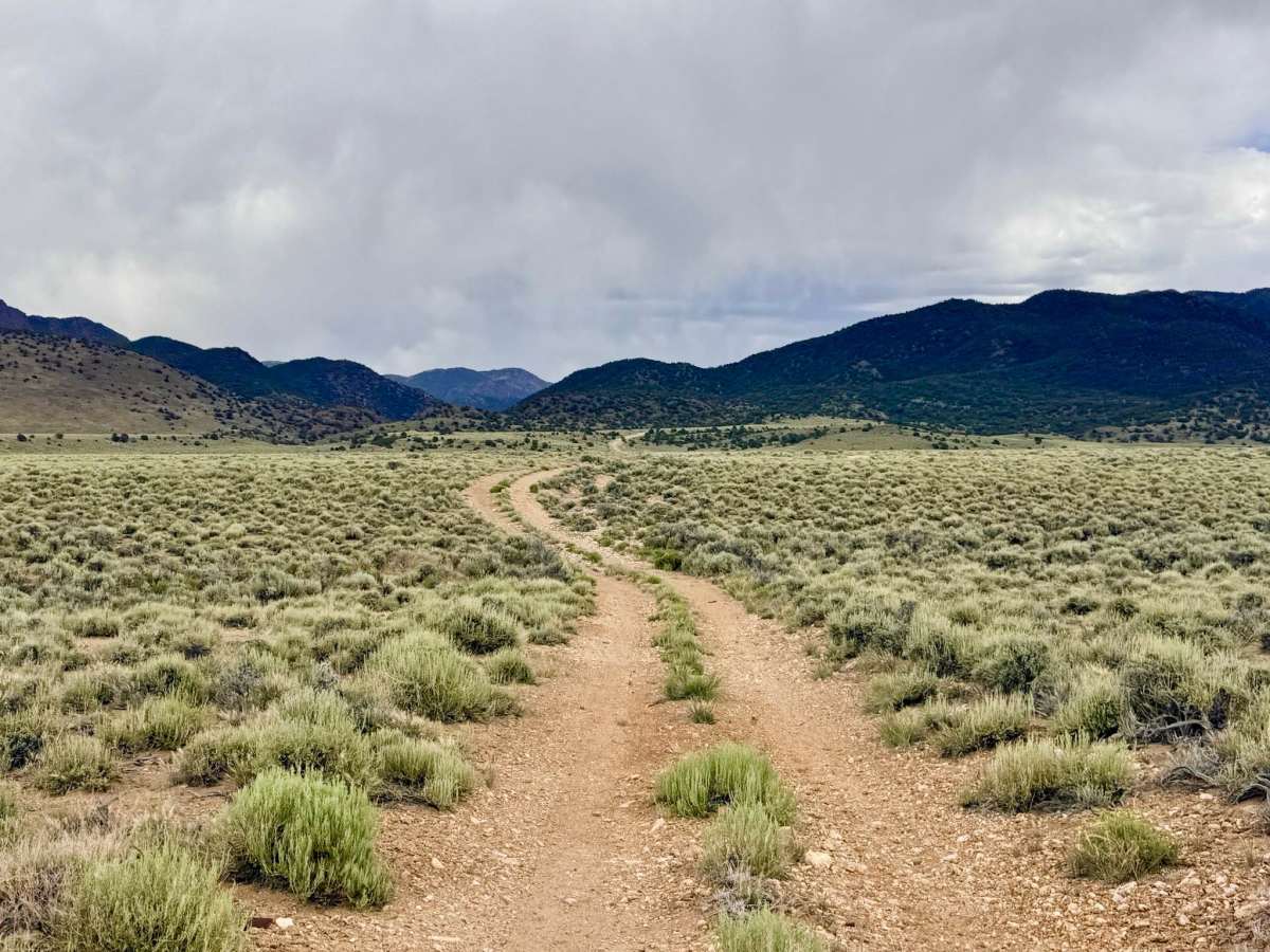 House Canyon Cutoff Road photo 6