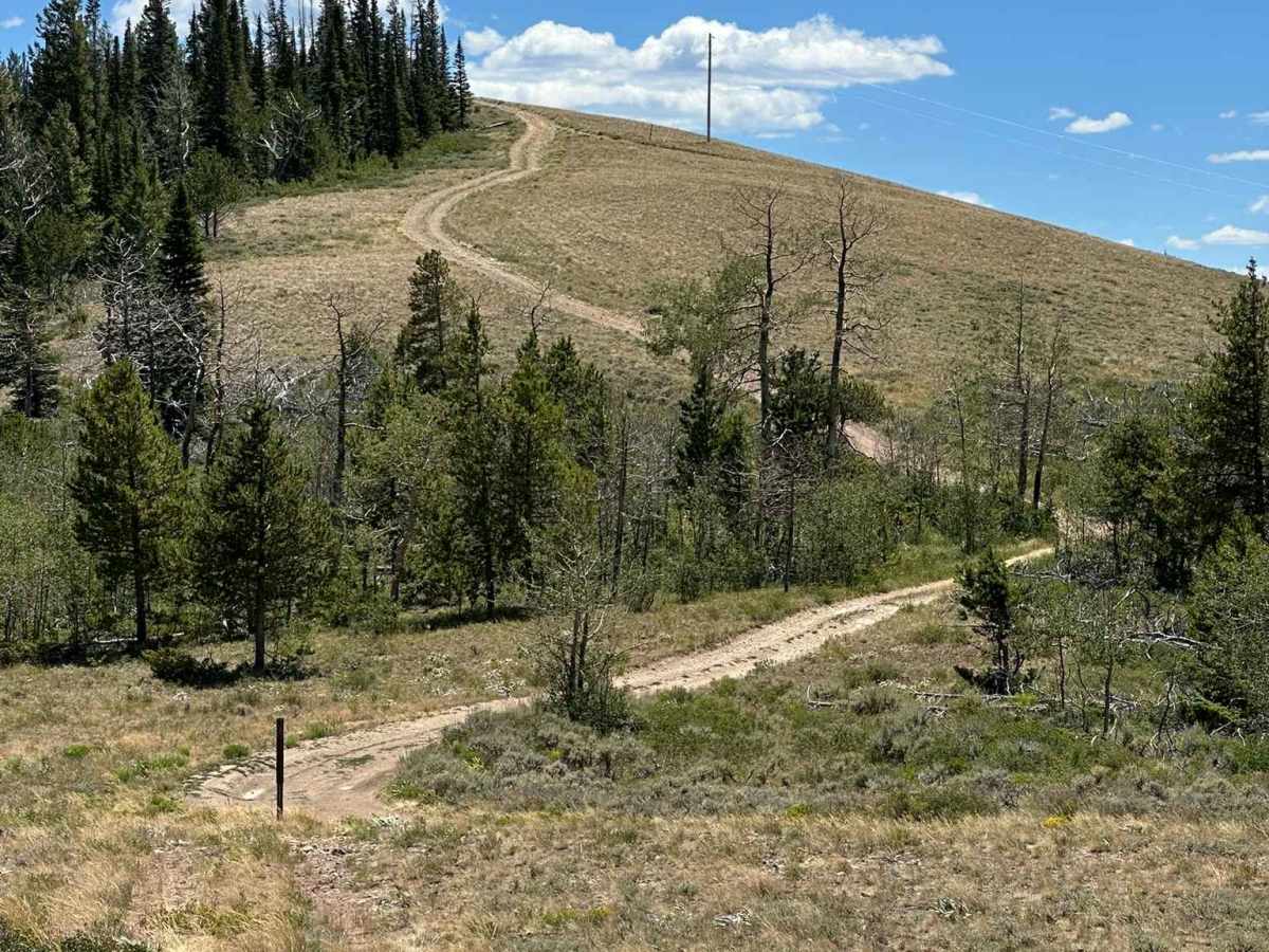 Summit View Road trail photo