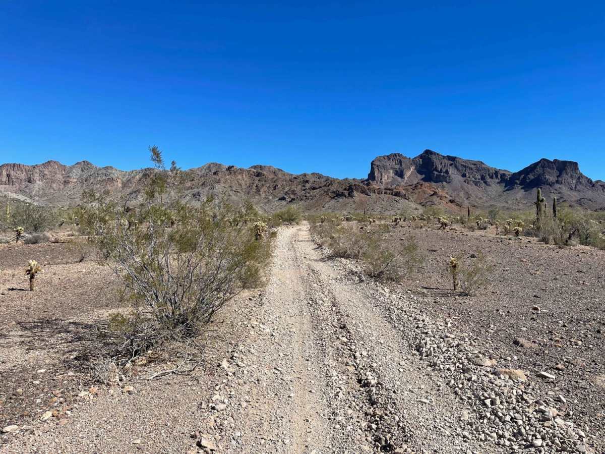 Center Desert Washy Loop photo 2