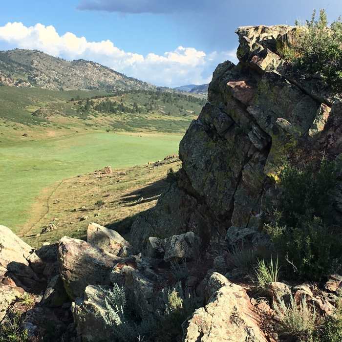 Near Coyote Ridge Trail
