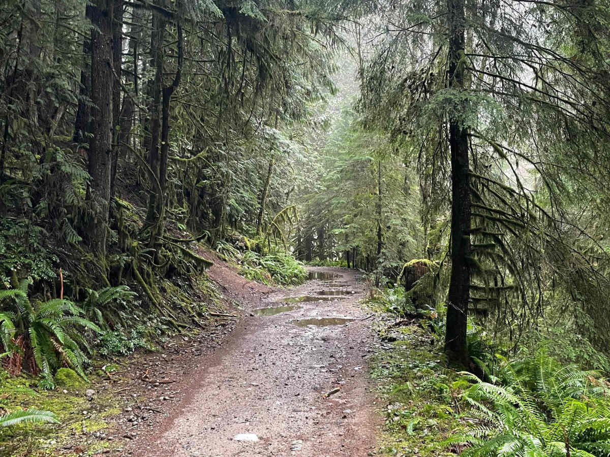 Ring Creek Rip photo 4
