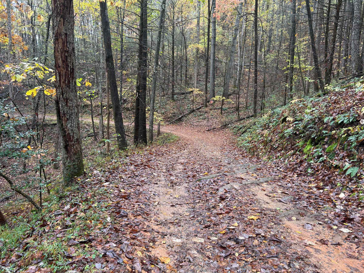 Toccoa River Road - FS 333 photo 5