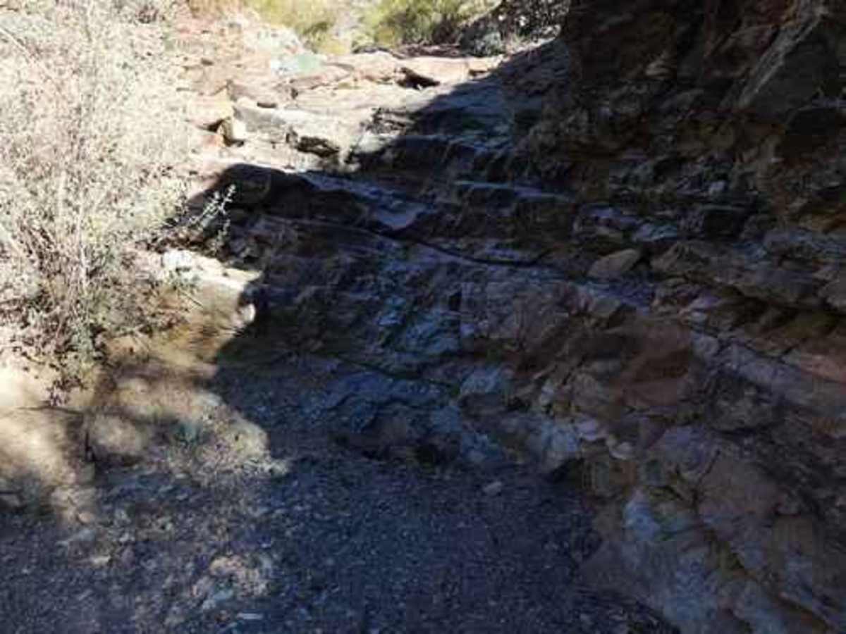 Tougher Green Miles trail photo