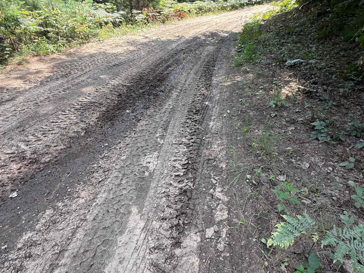 Deer Road Trail photo 4