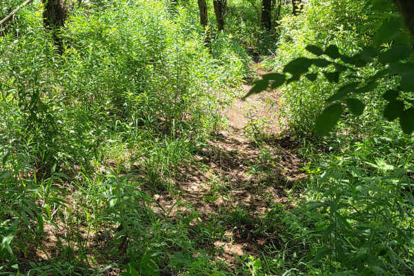 Single Track NA