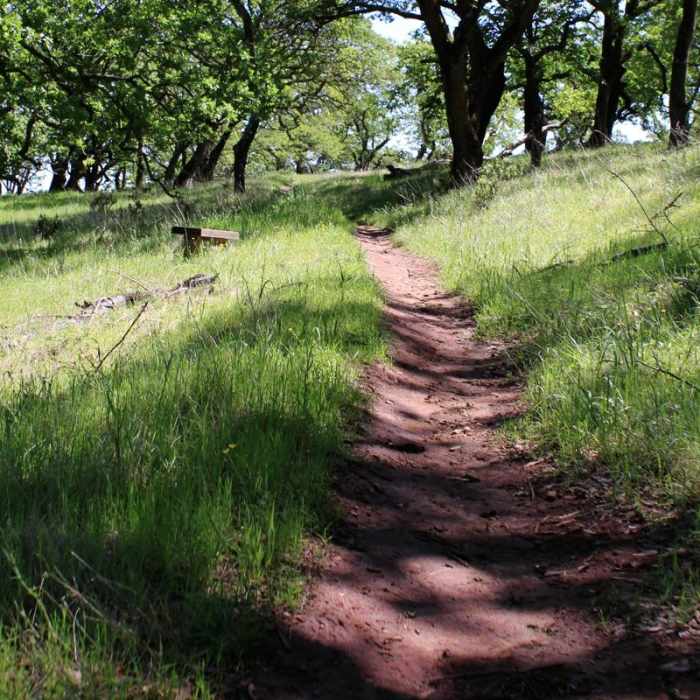 Near Olompali State Historic Park