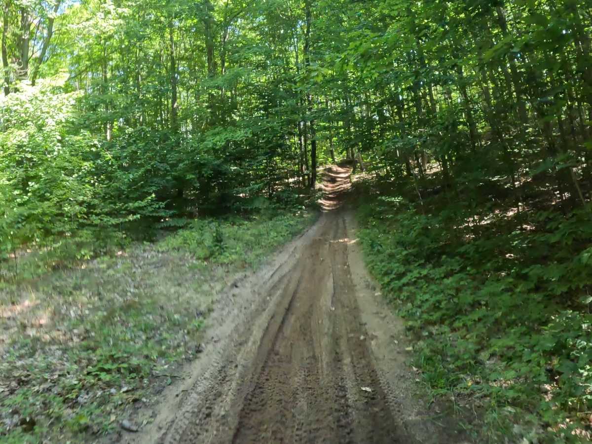 Kalkaska Trial Interconnector trail photo