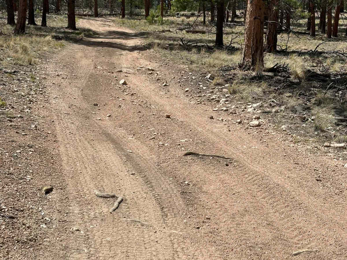Messenger Road photo 2